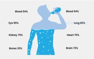 sperm-cramps-factor-dehydration-wellnessbeings