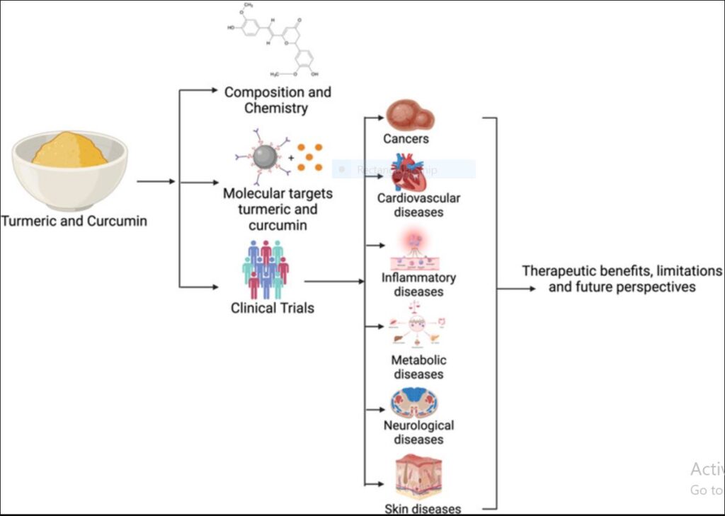 turmeric-potential-benifits-chart
